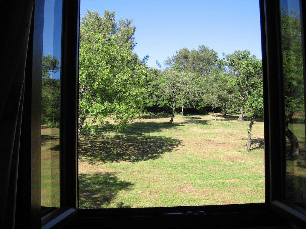 Guest House Caterina Poreč Oda fotoğraf