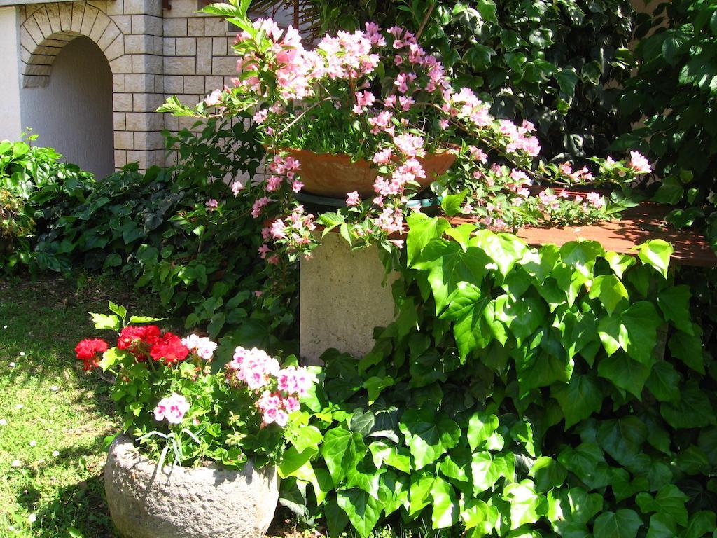 Guest House Caterina Poreč Dış mekan fotoğraf